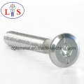 Flat Head Hexagonal Socket Bolt with Point